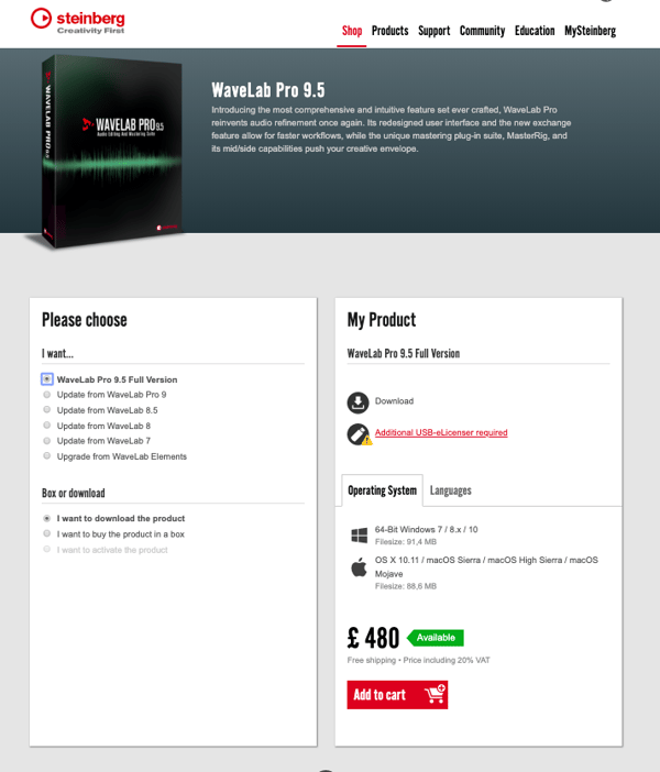 Steinberg pricing model